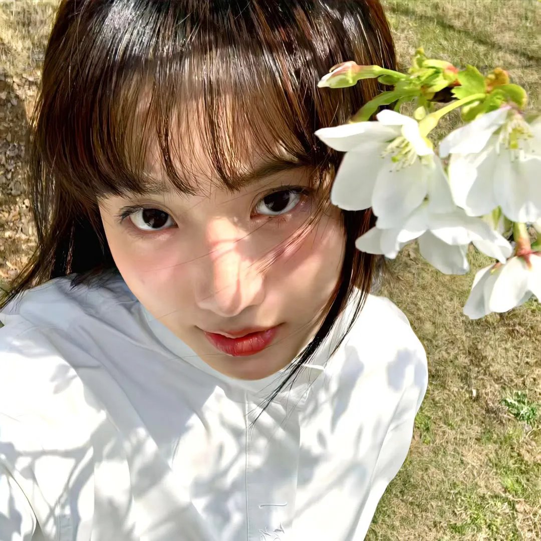太阳与波莱罗